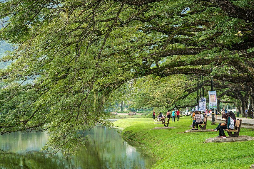 chagee taiping lake garden