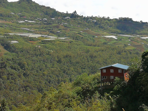 Ranau