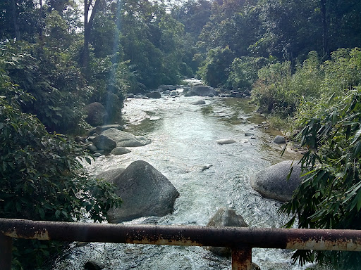 Bidor