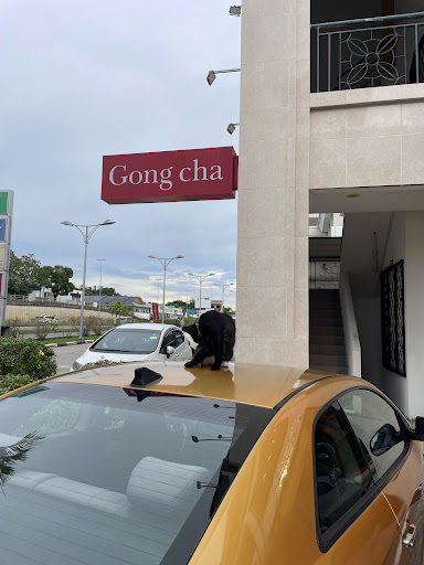 Gong Cha Tanjong Bunut