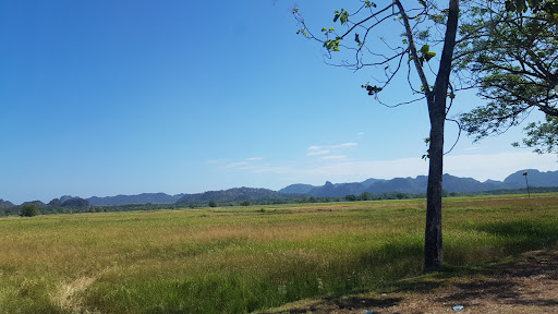 Ayer Hangat