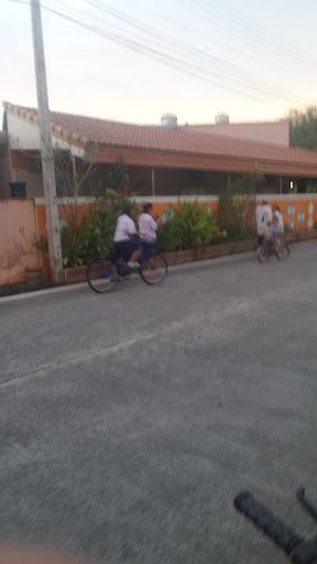 Bedong